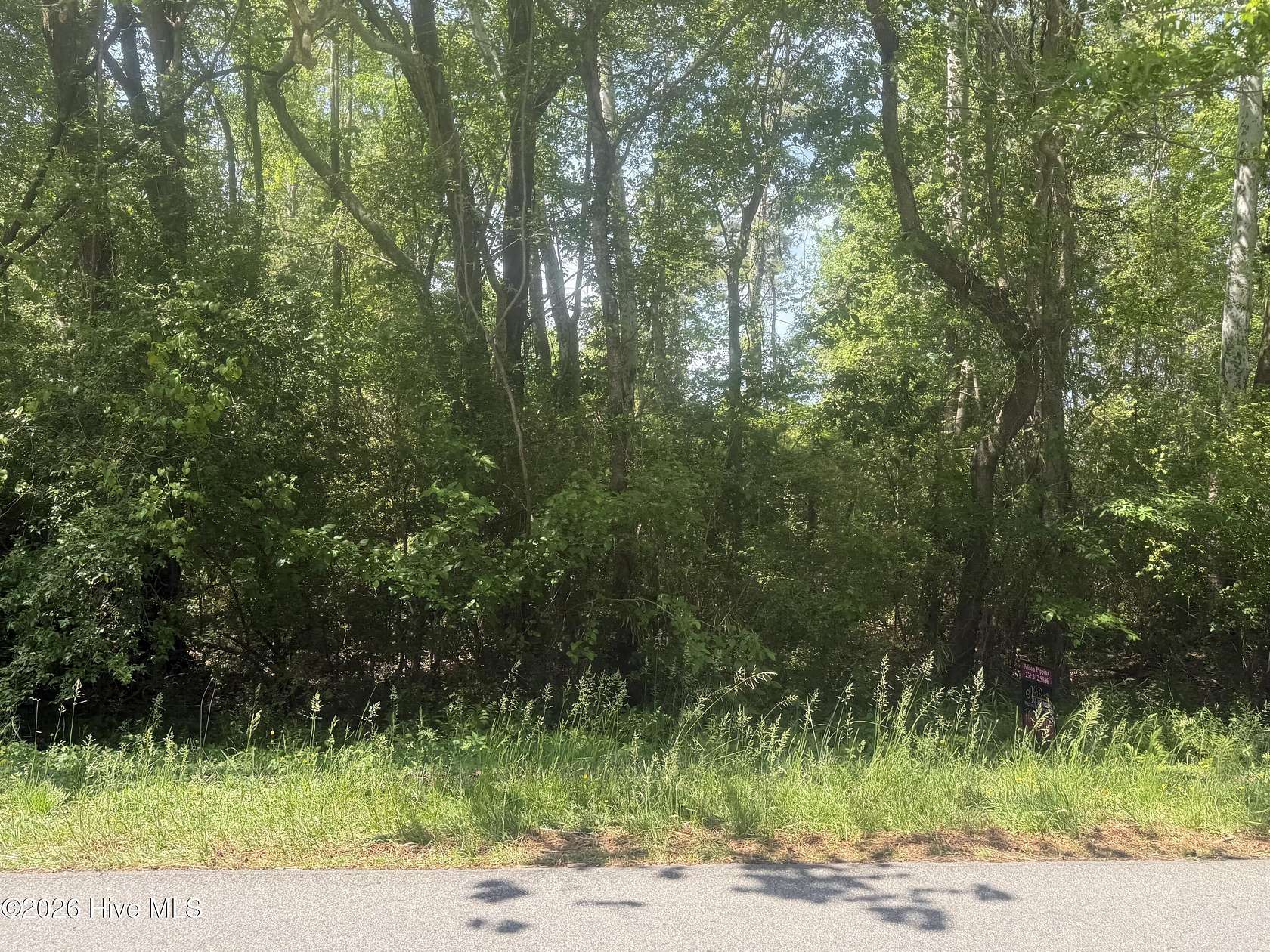0.33 Acres of Residential Land for Sale in Edenton, North Carolina