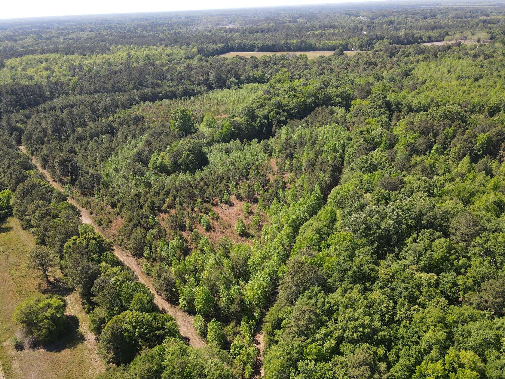 10 Acres of Recreational & Residential Land for Sale in St. Stephen, South Carolina