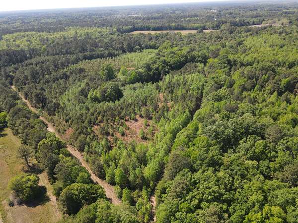 10 Acres of Recreational & Residential Land for Sale in St. Stephen, South Carolina