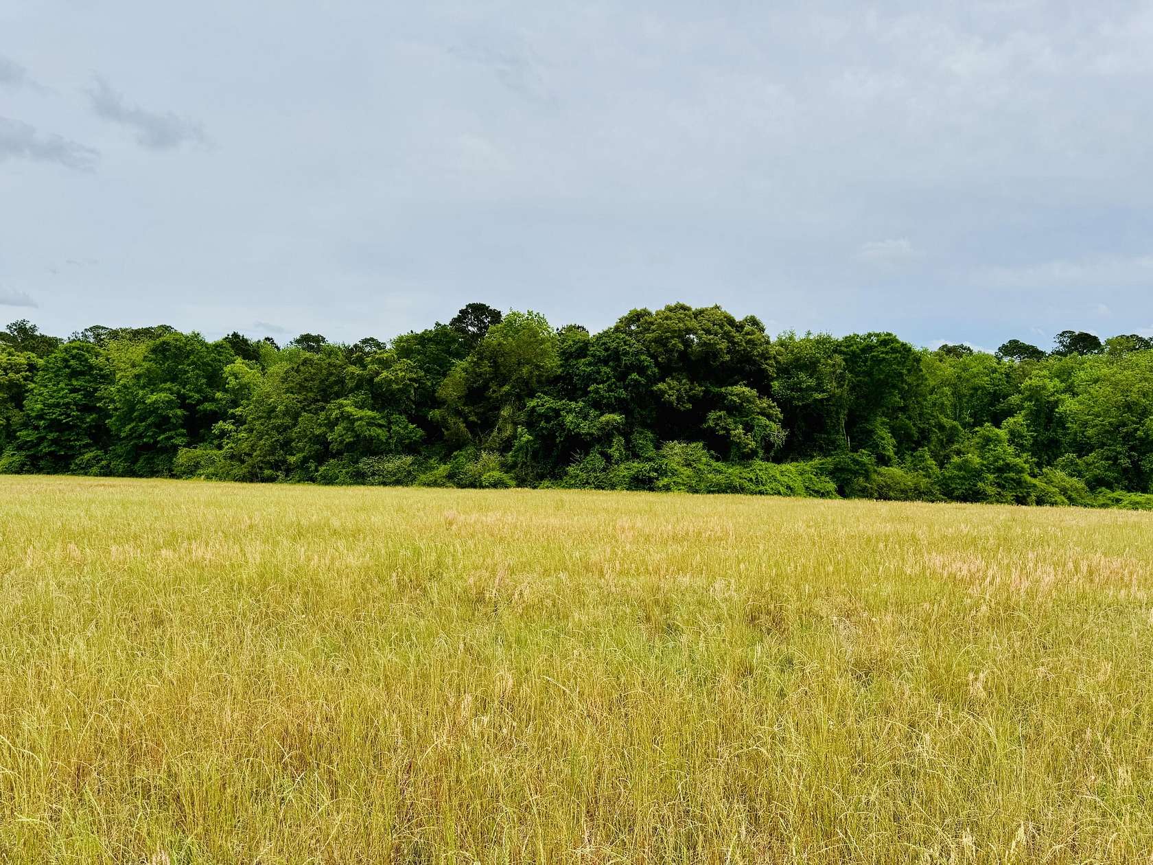 19 Acres of Land for Sale in Andalusia, Alabama