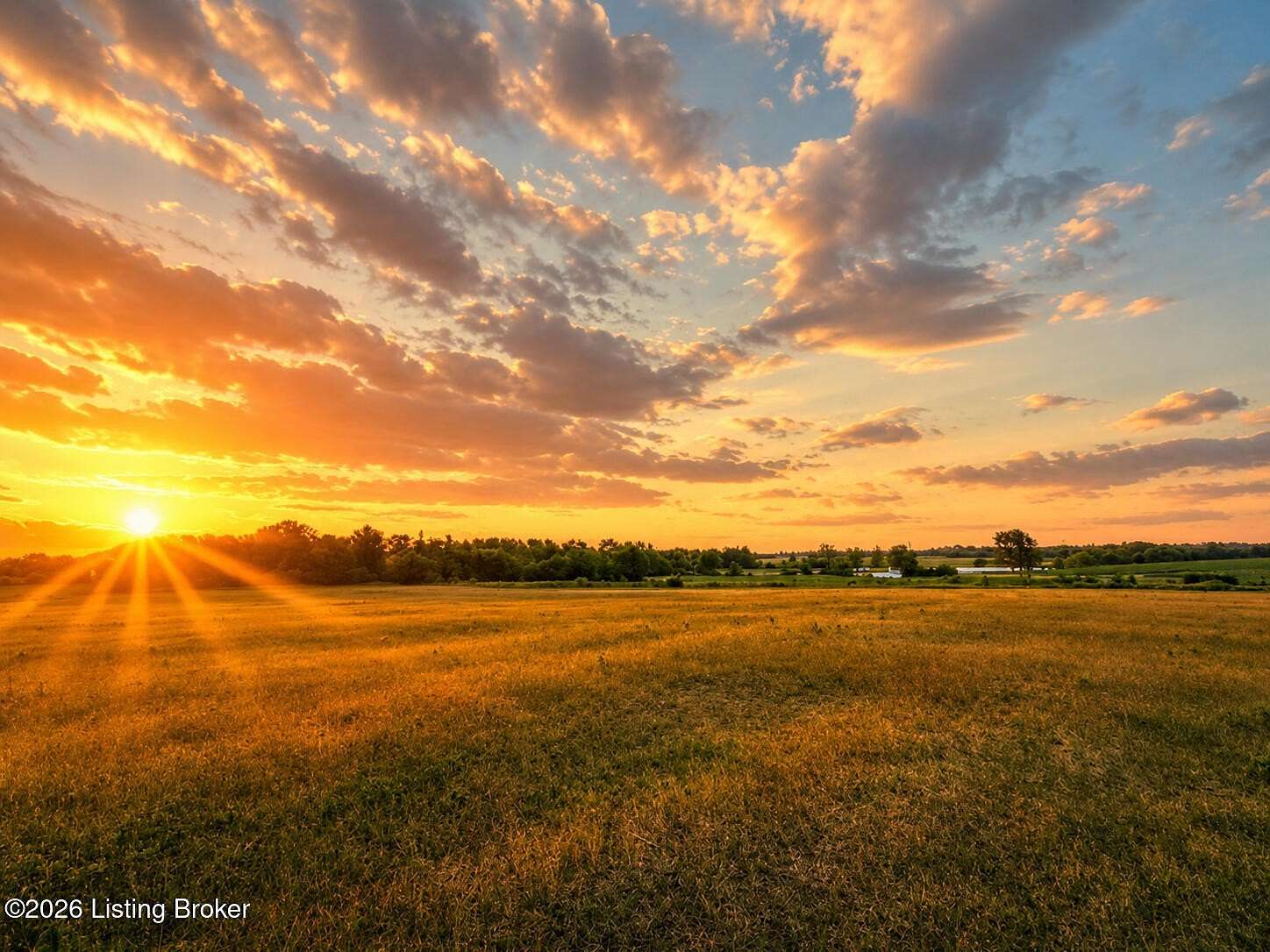 15 Acres of Land for Sale in Shelbyville, Kentucky