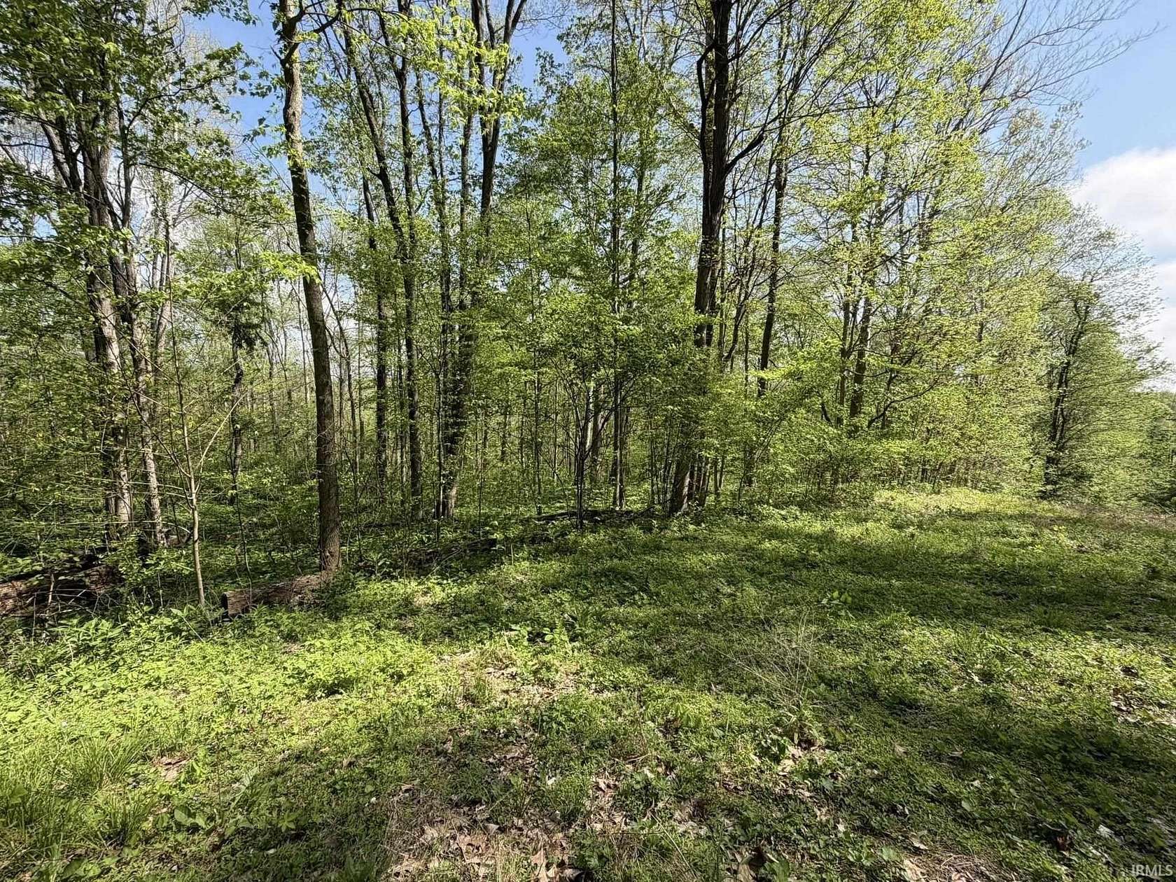 9 Acres of Residential Land for Sale in Spencer, Indiana