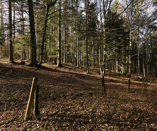 2 Acres of Land for Lease in Raleigh, North Carolina