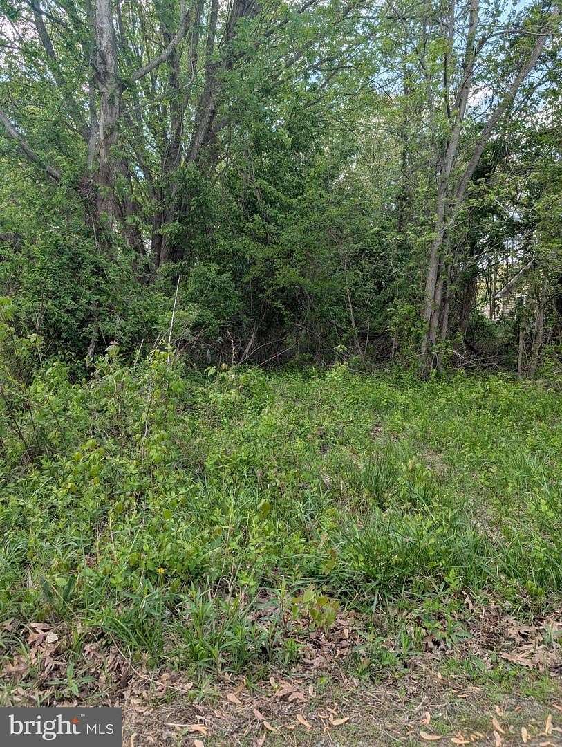 0.23 Acres of Land for Sale in Stevensville, Maryland