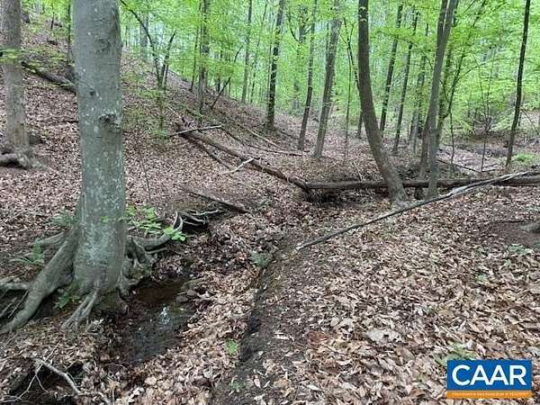 9.9 Acres of Land for Sale in Barboursville, Virginia