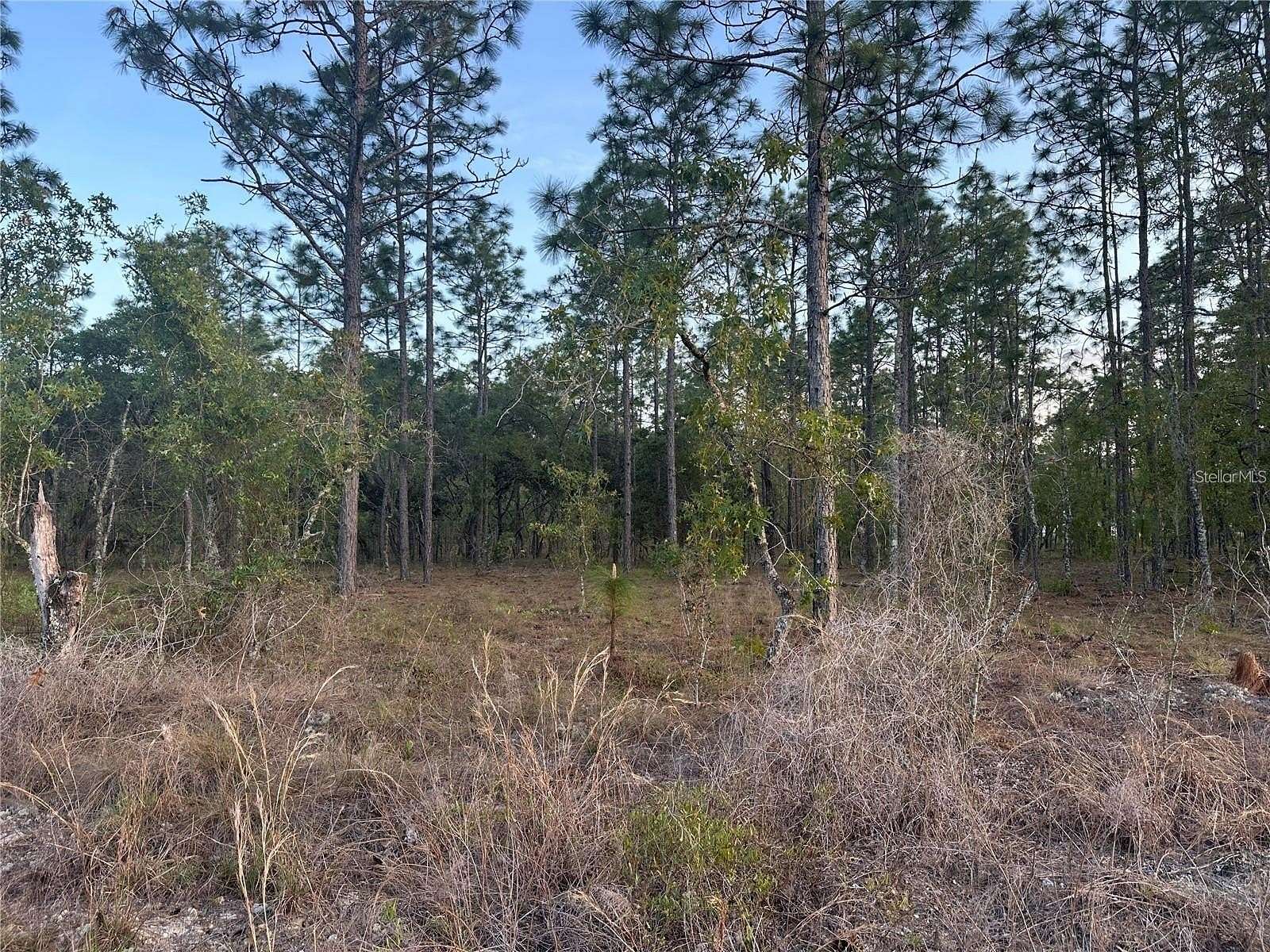 1 Acre of Residential Land for Sale in Dunnellon, Florida