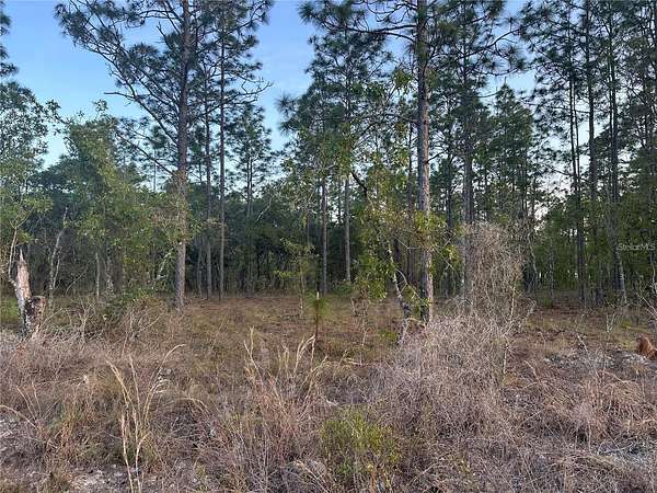1 Acre of Residential Land for Sale in Dunnellon, Florida