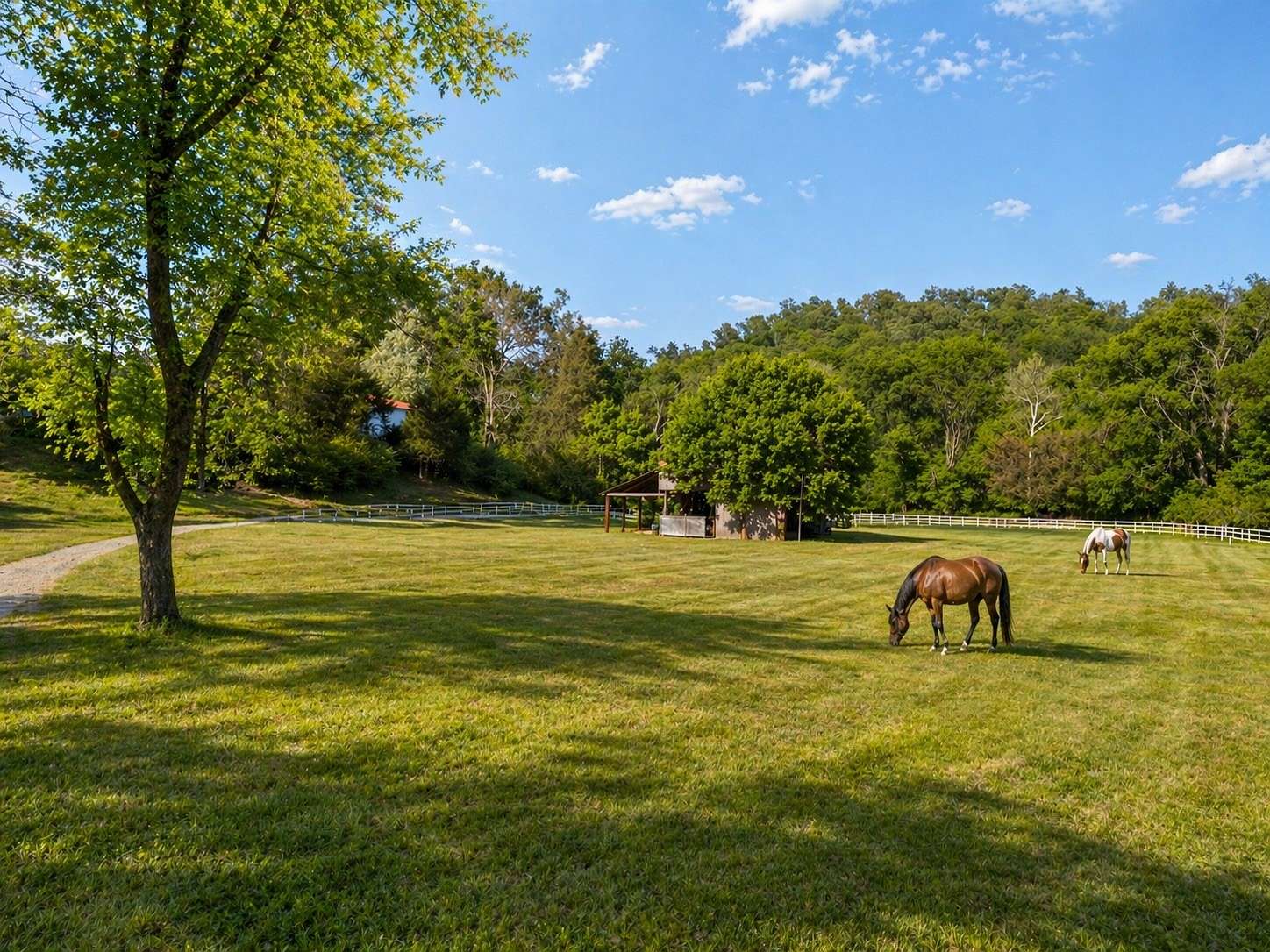 3.5 Acres of Land with Home for Sale in Ashland City, Tennessee