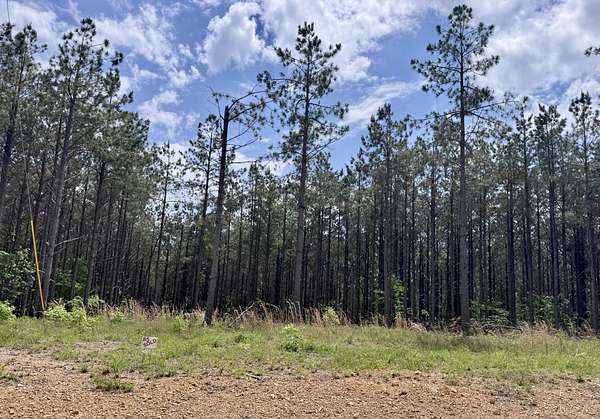 13 Acres of Land for Sale in Hohenwald, Tennessee