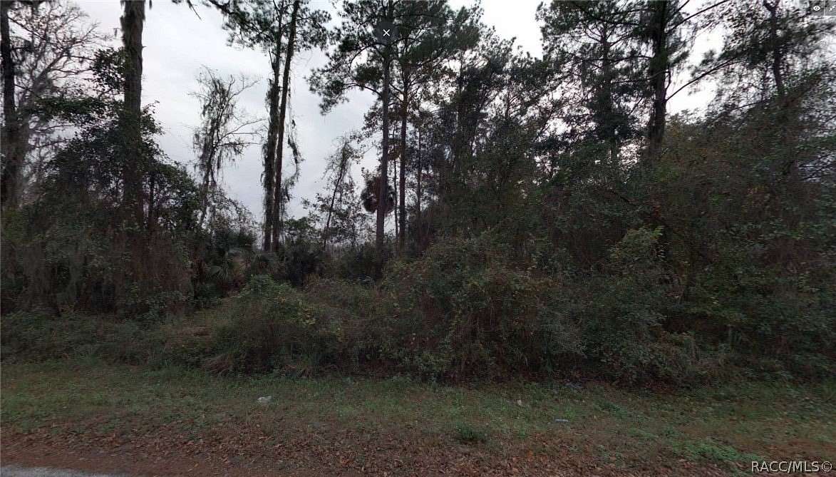 0.47 Acres of Residential Land for Sale in Fernandina Beach, Florida