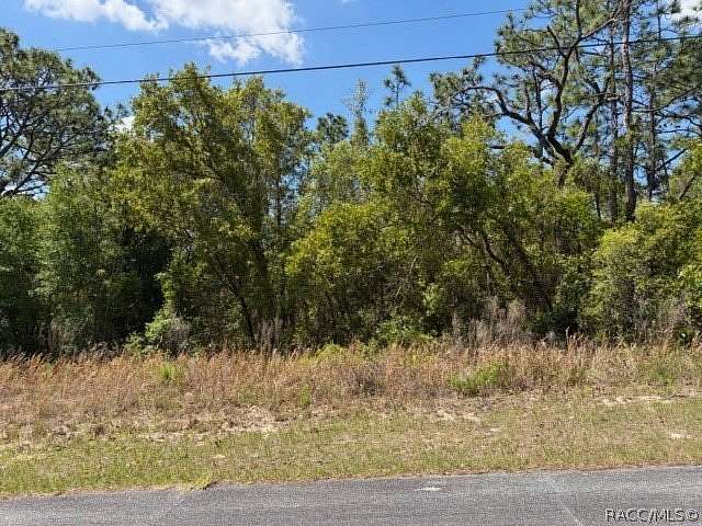 1 Acre of Residential Land for Sale in Beverly Hills, Florida