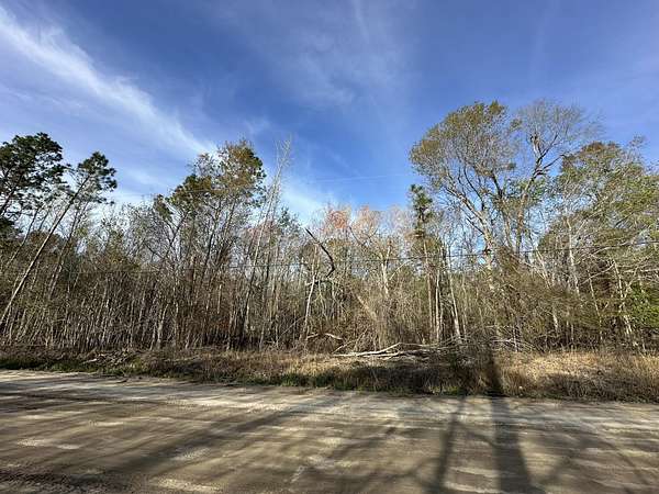 7.5 Acres of Residential Land for Sale in Swainsboro, Georgia