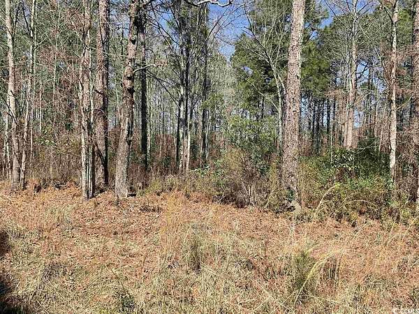 6.9 Acres of Commercial Land for Sale in Greeleyville, South Carolina