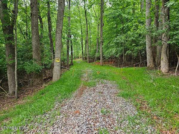 31.8 Acres of Recreational & Residential Land for Sale in Louisville, Tennessee