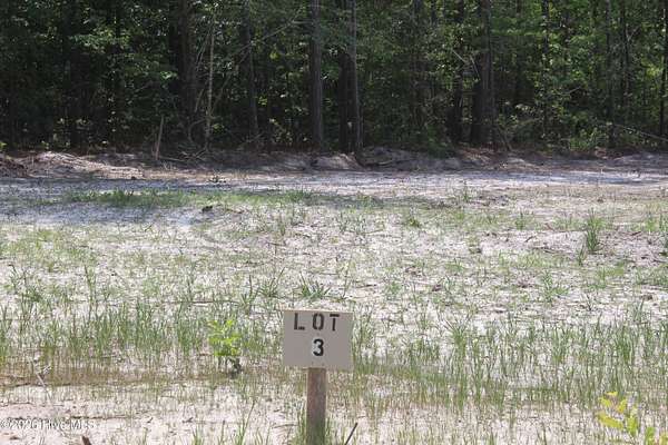 1.3 Acres of Residential Land for Sale in Magnolia, North Carolina