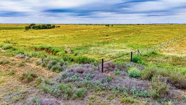29.2 Acres of Agricultural & Residential Land for Sale in Abernathy, Texas