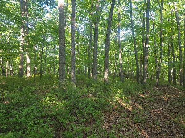 12.2 Acres of Land for Sale in Lynchburg, Virginia