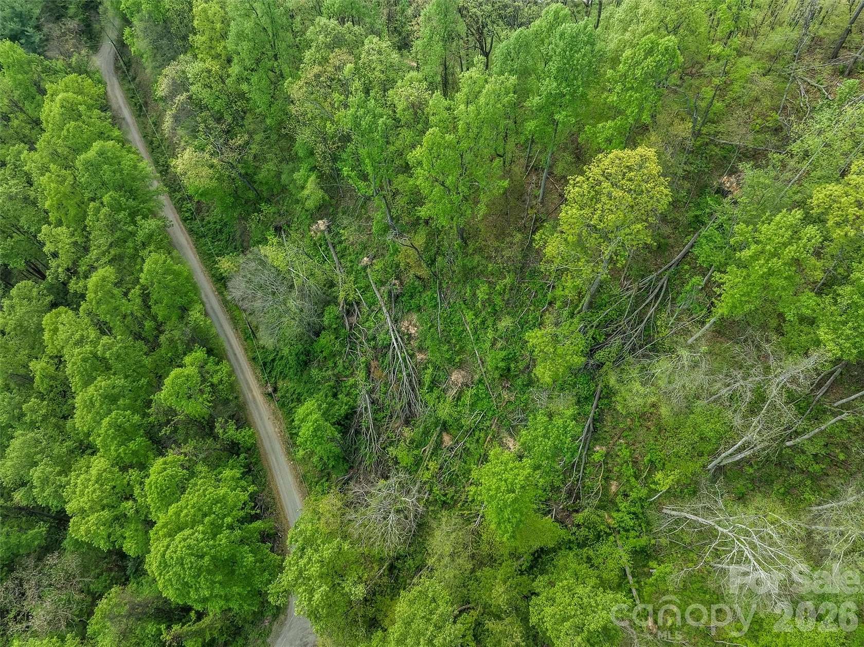0.94 Acres of Residential Land for Sale in Barnardsville, North Carolina