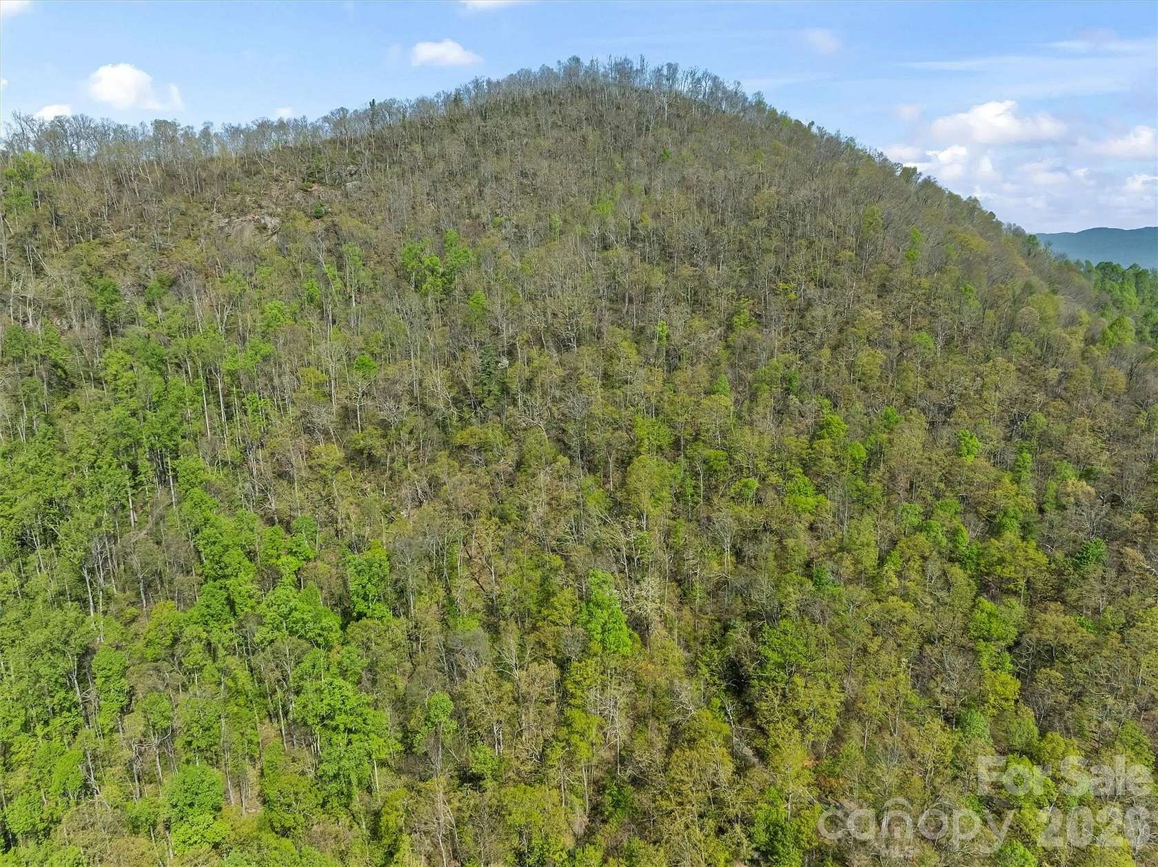 11.9 Acres of Land for Sale in Barnardsville, North Carolina