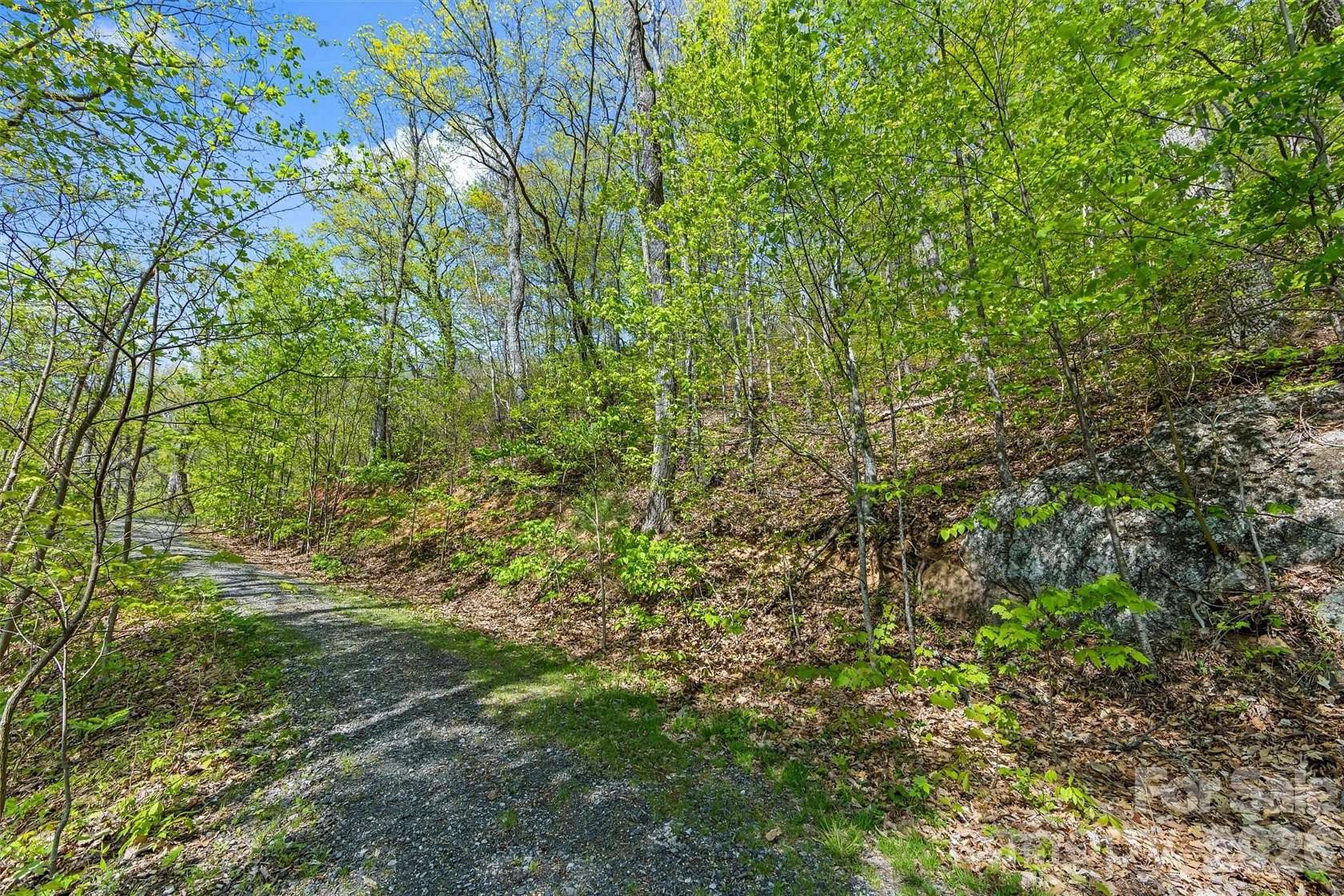 11.9 Acres of Land for Sale in Barnardsville, North Carolina