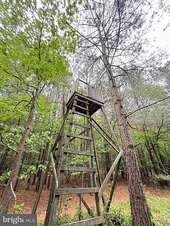 91.5 Acres of Recreational & Residential Land for Sale in Woolford, Maryland