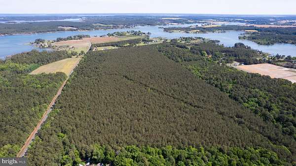 91.5 Acres of Recreational & Residential Land for Sale in Woolford, Maryland