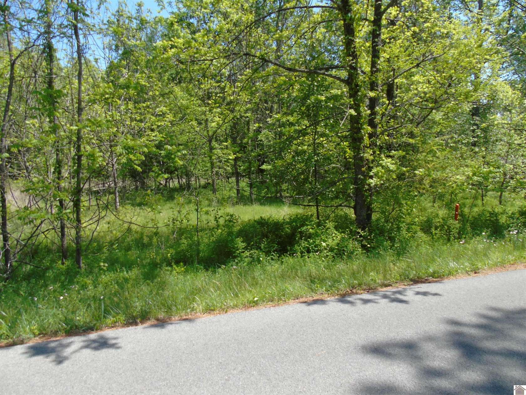 0.49 Acres of Residential Land for Sale in Cadiz, Kentucky