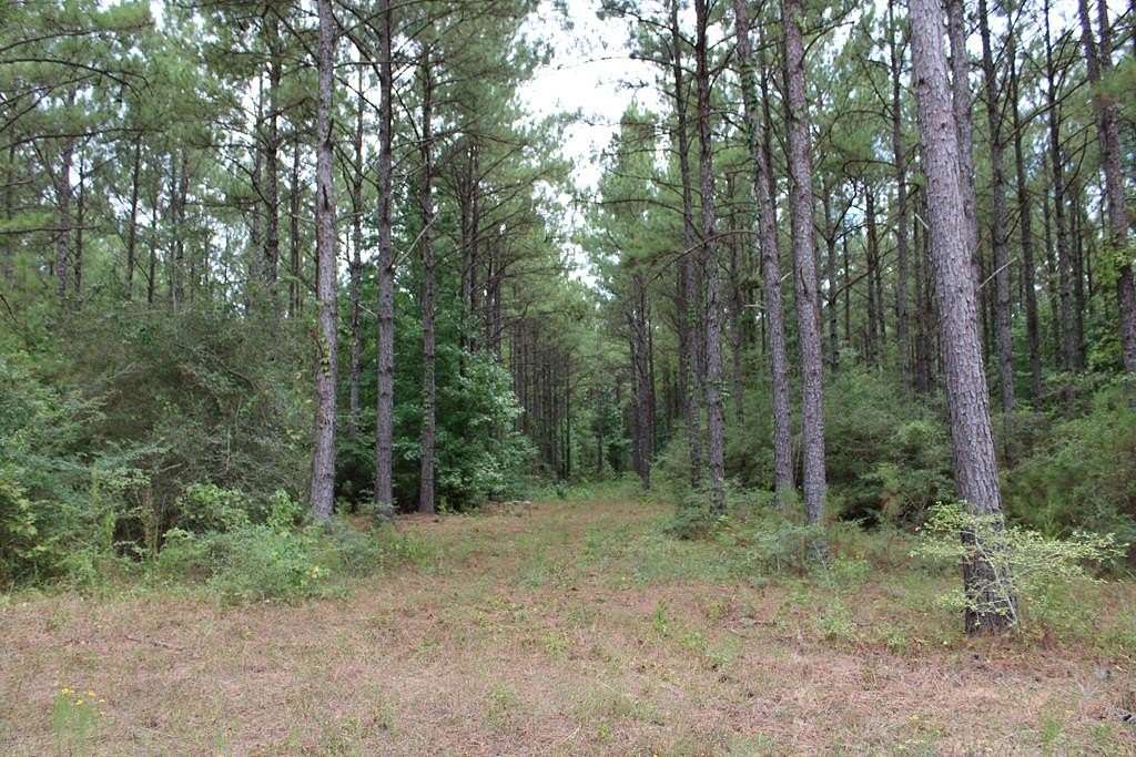 429 Acres of Recreational & Residential Land for Sale in Livingston, Texas