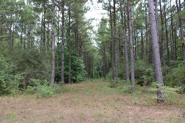 429 Acres of Recreational & Residential Land for Sale in Livingston, Texas