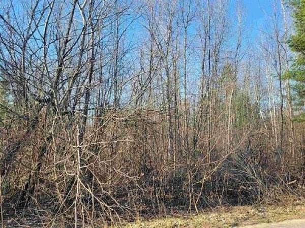 0.5 Acres of Land for Sale in Gladwin, Michigan