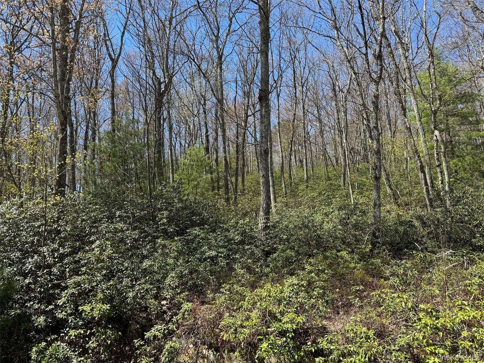 12.6 Acres of Land for Sale in Port Jervis, New York