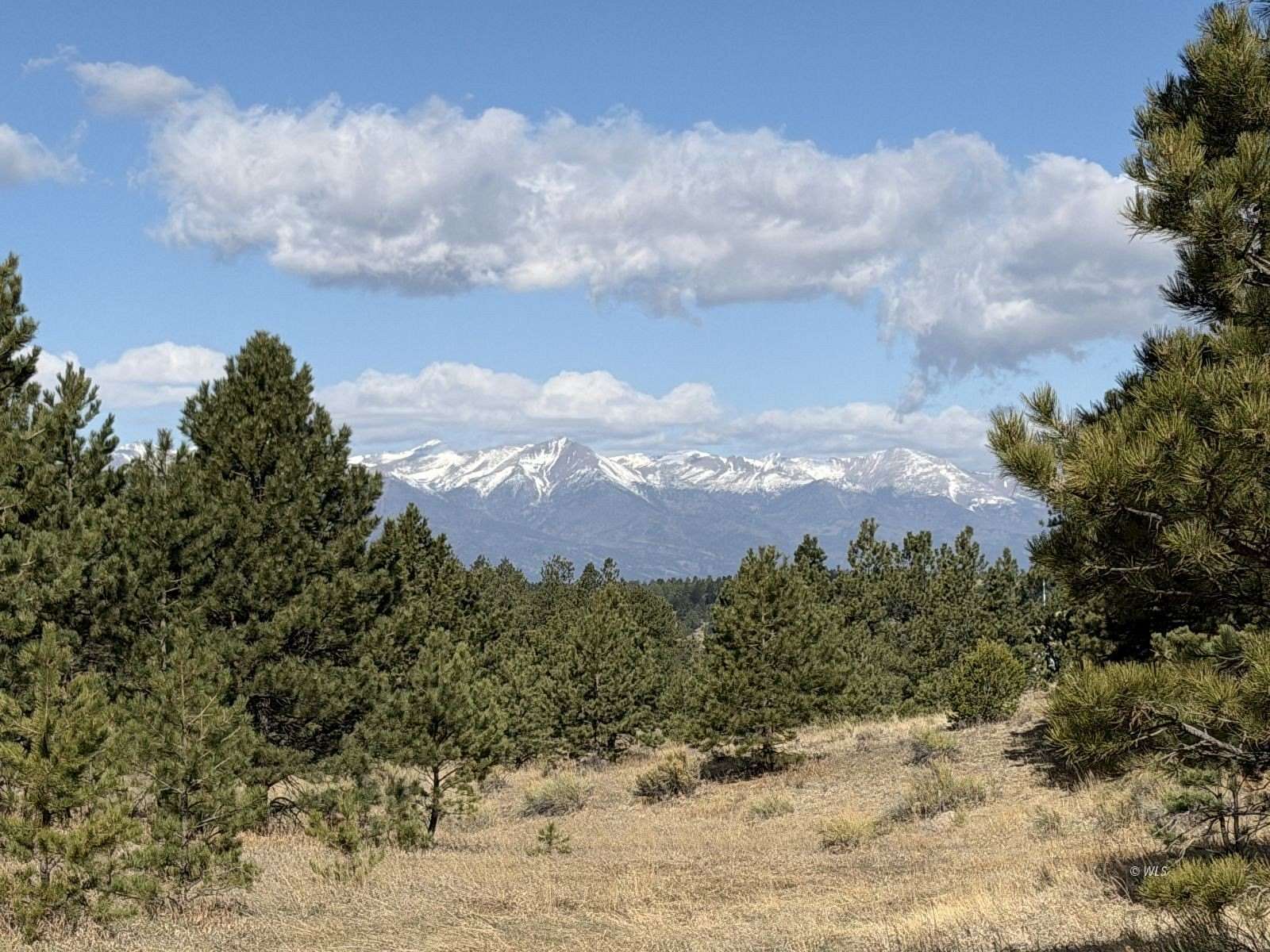 4.87 Acres of Residential Land for Sale in Westcliffe, Colorado