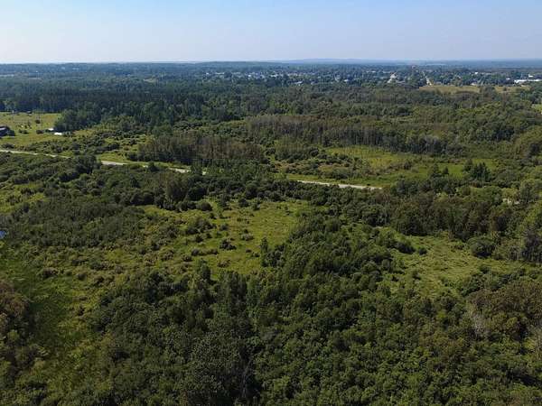 40 Acres of Recreational Land for Sale in Newberry, Michigan
