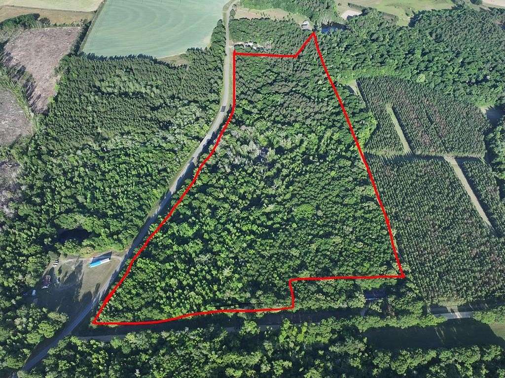 42 Acres of Recreational Land for Sale in Arabi, Georgia