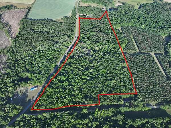 42 Acres of Recreational Land for Sale in Arabi, Georgia
