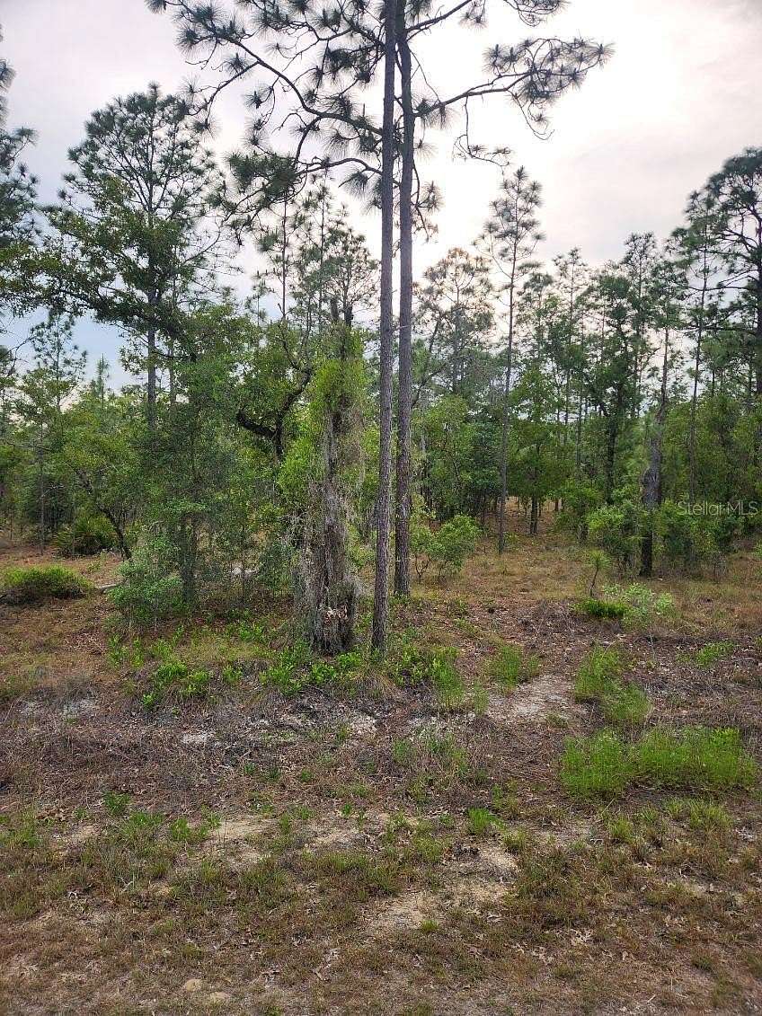 1 Acre of Residential Land for Sale in Dunnellon, Florida