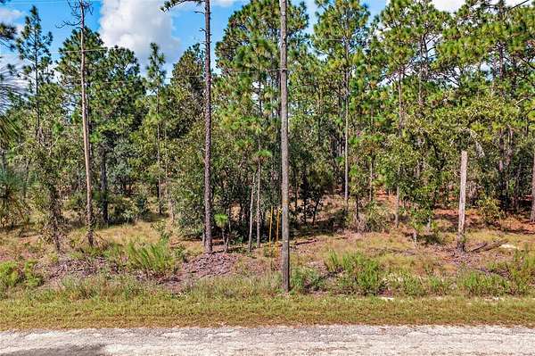 1 Acre of Residential Land for Sale in Dunnellon, Florida