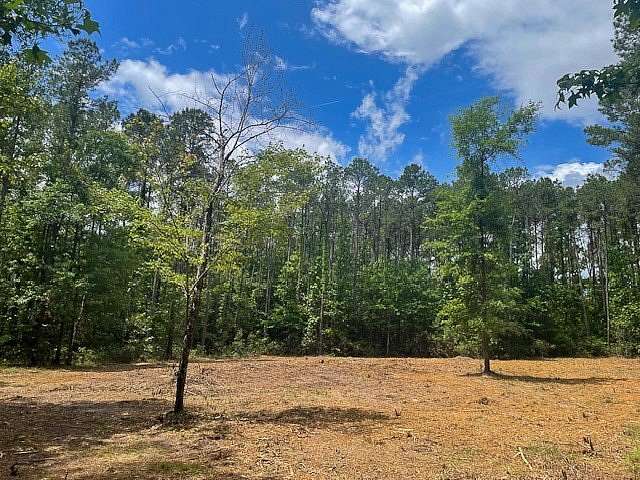 38.6 Acres of Recreational Land for Sale in Zavalla, Texas