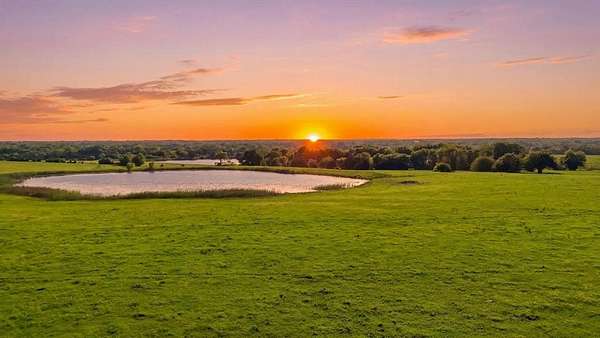 232 Acres of Improved Land for Sale in Celeste, Texas