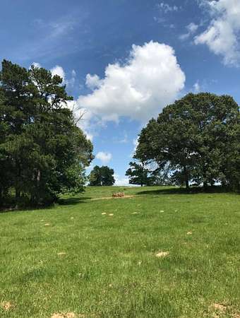 106 Acres of Recreational & Residential Land for Sale in Troup, Texas