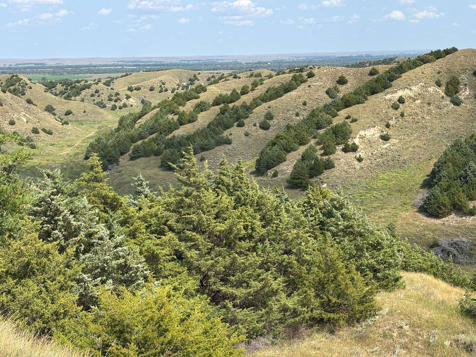 438 Acres of Agricultural Land for Sale in North Platte, Nebraska
