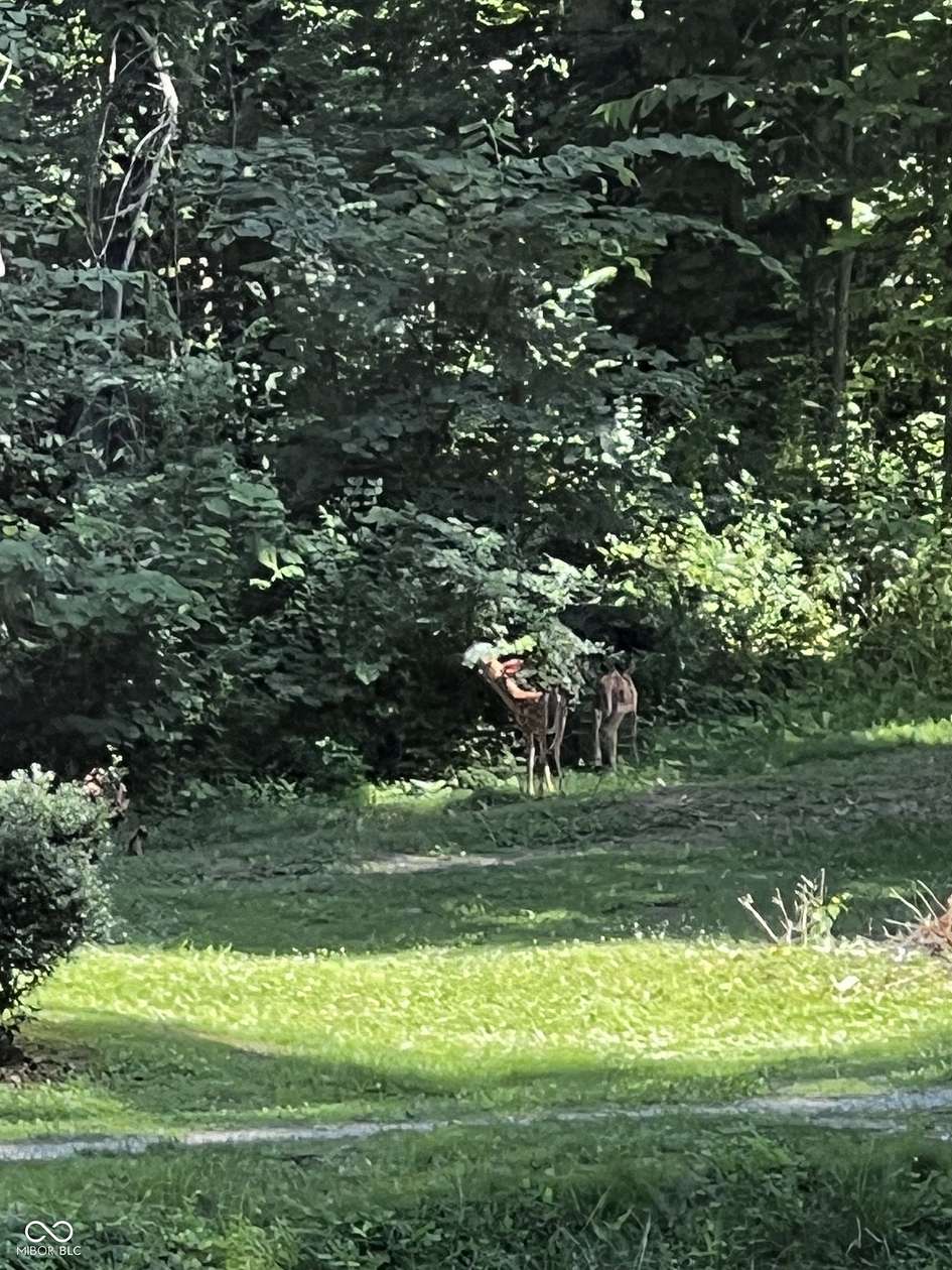 29 Acres of Land for Sale in Mooresville, Indiana