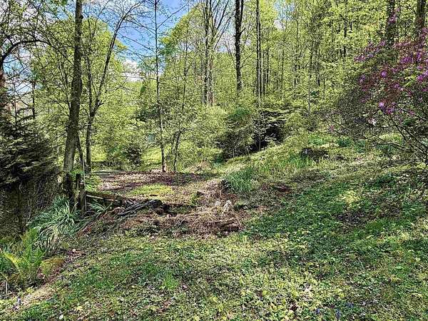0.29 Acres of Residential Land for Sale in West Union, West Virginia