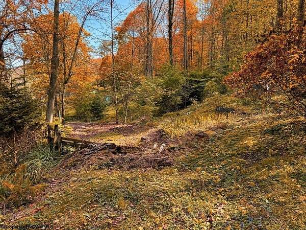 0.29 Acres of Residential Land for Sale in West Union, West Virginia