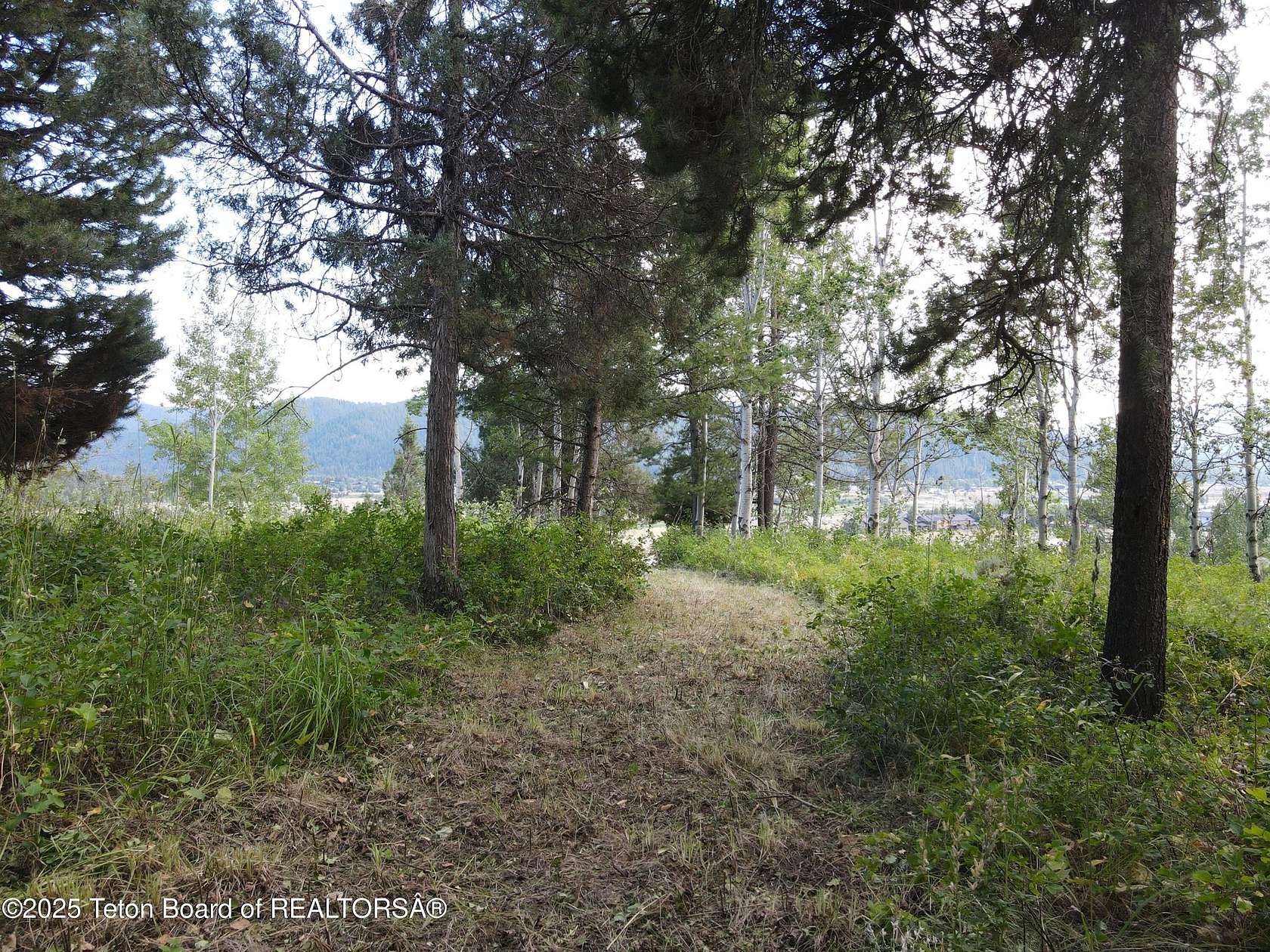 0.83 Acres of Residential Land for Sale in Alpine, Wyoming