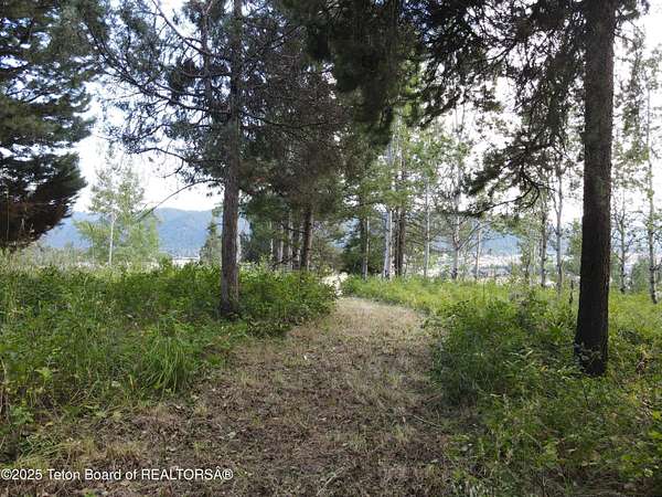 0.83 Acres of Residential Land for Sale in Alpine, Wyoming