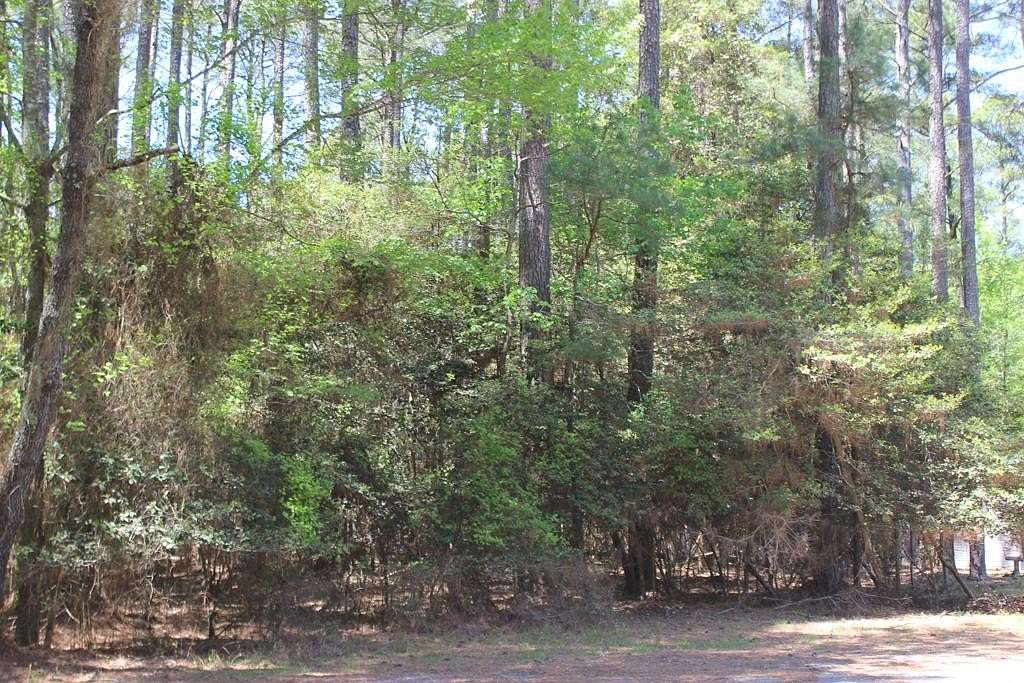 0.32 Acres of Residential Land for Sale in Greenbackville, Virginia