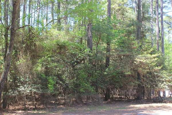 0.32 Acres of Residential Land for Sale in Greenbackville, Virginia