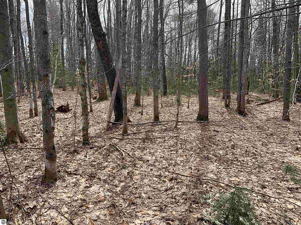 0.4 Acres of Residential Land for Sale in Kalkaska, Michigan