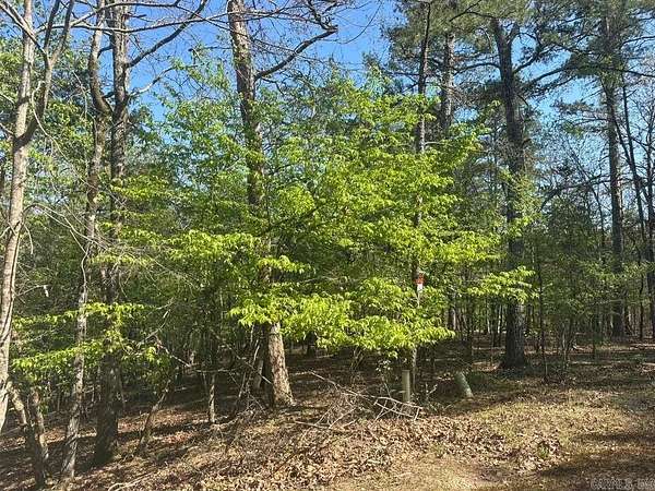 0.28 Acres of Land for Sale in Hot Springs Village, Arkansas